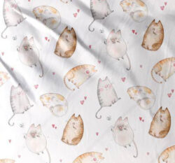 Котики_2 Котики_2