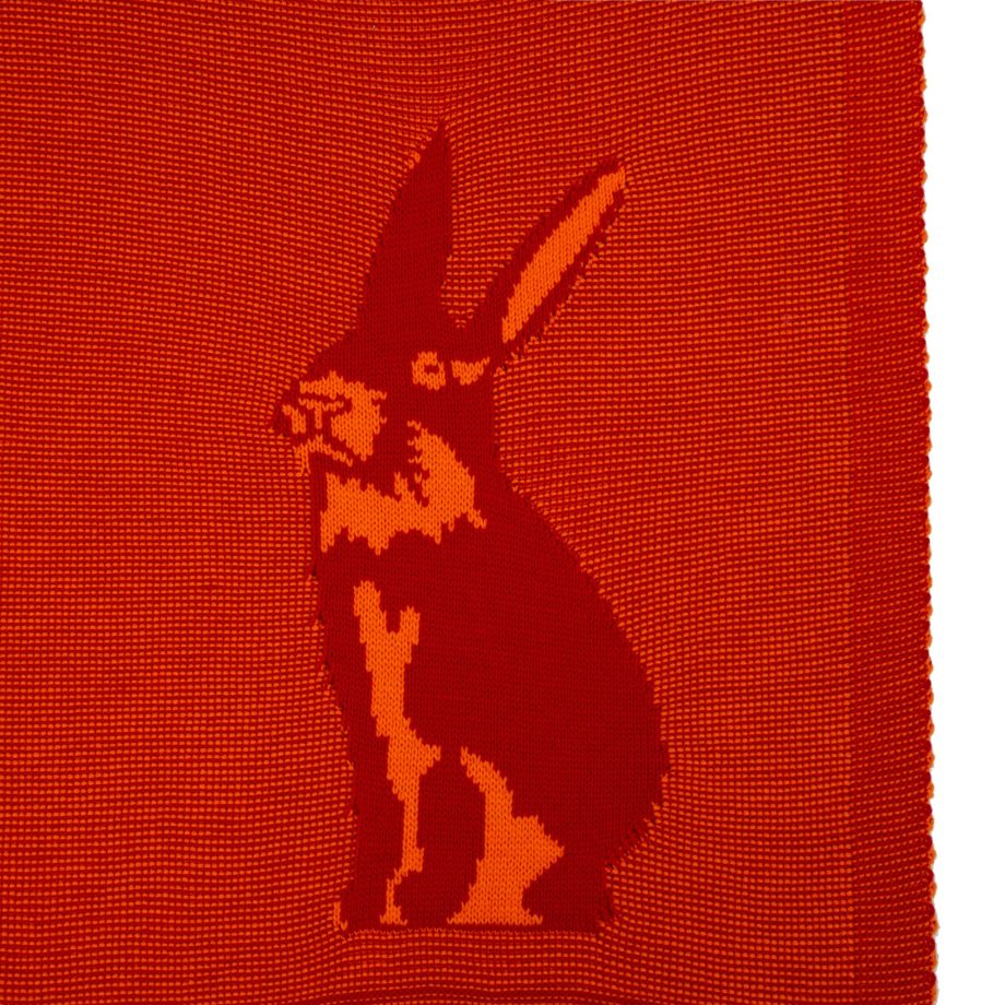 Фото 6 - Плед Stereo Bunny Красный.