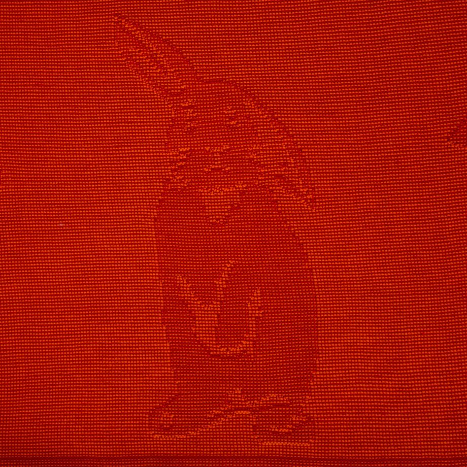 Фото 7 - Плед Stereo Bunny Красный.